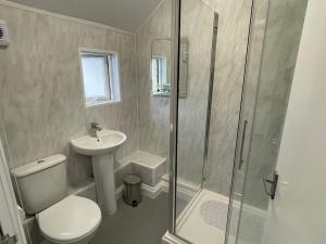 a bathroom with a shower and a toilet and a sink at The Royal Oak in Tewkesbury