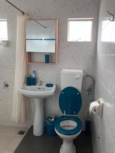 a bathroom with a blue toilet and a sink at Safia in Trou aux Biches +16 photos