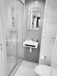 een badkamer met een douche, een wastafel en een toilet bij Studio apartment within city centre with ensuite in Coventry