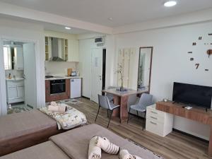 a living room with a couch and a kitchen at Villa Lucija by ROMANTIQUE in Veles