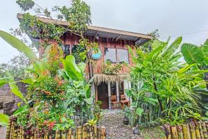 Zahrada ubytování Tastura Homestay