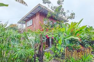 Zahrada ubytování Tastura Homestay