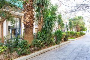 a palm tree on the side of a street at Lucas apartment 1 in Athens
