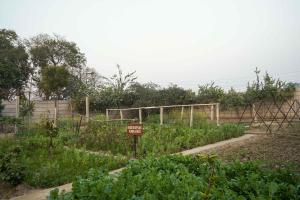 Foto dalla galleria di Luxury Farmhouse Stay, Pure Vegetarian- Santushti Farm, NCR a Tibri