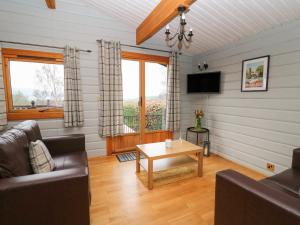 Μια τηλεόραση ή/και κέντρο ψυχαγωγίας στο Great Owl Lodge