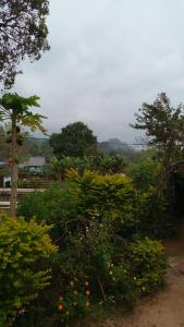 Paisaje cerca de este resort