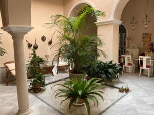Zahrada ubytování Santo Domingo - Centro