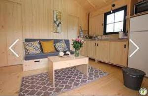 Kuchyňa alebo kuchynka v ubytovaní Camping le Moulin de David -Gaugeac Monpazier 24540 - Cabane -Mobil-home 3 et 2 chambres