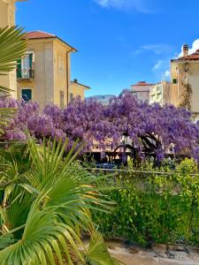 un montón de flores púrpuras delante de un edificio en CERNAIA ROOM en La Spezia