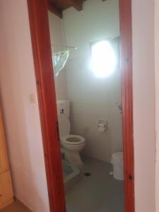 baño con aseo y una luz en el techo en Kaiti Villa 4 en Koukounaries