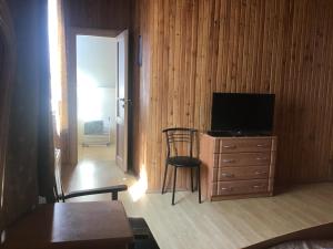a living room with a television and a wooden wall at Villa Carpathian Aura in Skhidnitsa