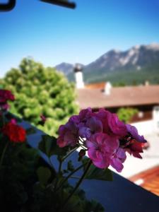Nespecifikovaný výhled na hory nebo výhled na hory při pohledu z hotelu