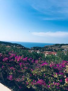 Фотография из галереи Pissouri Villa Miramar в Писсури