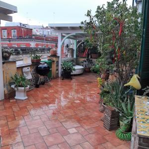 un patio con piante in vaso su un edificio di le stanze di mimi a Napoli