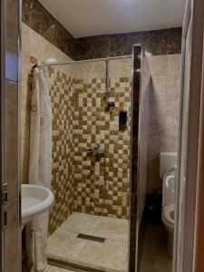 a bathroom with a shower with a sink and a toilet at Hotel Lido in Prishtinë