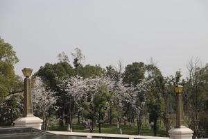 Giardino di Suning Zhongshan Golf Resort