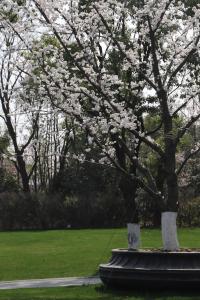 Giardino di Suning Zhongshan Golf Resort