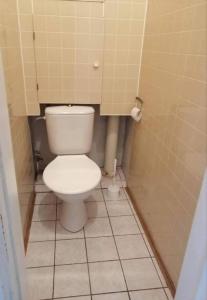 a bathroom with a white toilet in a stall at City Center Huge 3-Bedroom Apartment in Tallinn