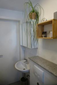 a bathroom with a sink and a potted plant at Gästezimmer am Flissertwald in Heuweiler