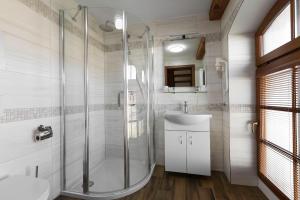 a bathroom with a shower and a sink at Statek 1738 in Všestudy
