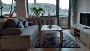 a living room with a couch and a coffee table at Haus im Strycktal in Willingen
