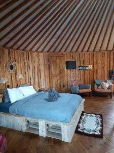 TV a/nebo společenská místnost v ubytování les Refuges du Chalet