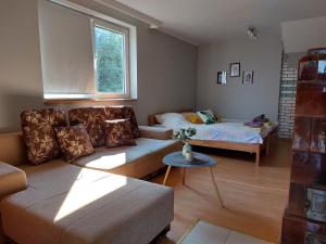 - un salon avec un canapé et un lit dans l'établissement OLOR Apartman 2 - Banoštor, à Banoštor