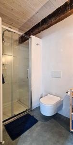 uma casa de banho com uma cabina de duche em vidro e um WC. em Loft223 em Gli Angeli