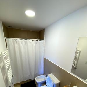 a bathroom with a white shower curtain and a toilet at Casita Sur Trevelin in Trevelin
