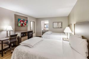 Postel nebo postele na pokoji v ubytování Red Roof Inn PLUS+ Dallas - Addison