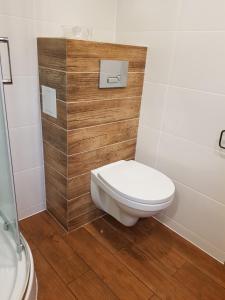 a bathroom with a toilet and a wooden wall at Domek Letniskowy Monika in Jeziorowskie