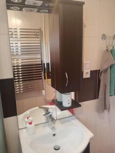 bagno con lavandino e specchio di D38 Pestelizabeth Apartman a Budapest