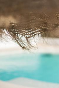 Basen w obiekcie The Olive Boutique Suites & Spa lub w pobliżu