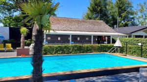 a swimming pool with a palm tree in front of a house at Villa Bartje in Schoonebeek