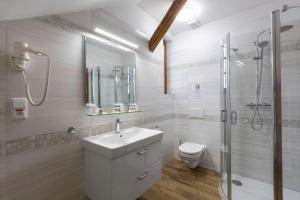 a bathroom with a sink and a shower and a toilet at Statek 1738 in Všestudy