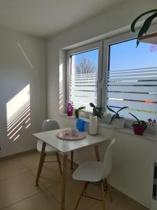 Biały stół i krzesła w pokoju z oknami w obiekcie Apartment am Landeckberg w mieście Klingenmünster