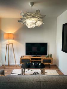 sala de estar con sofá y TV de pantalla plana en Au cœur de Castres, logement cosy classé 3***, en Castres