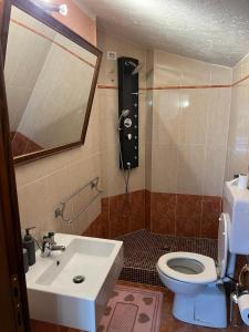 a bathroom with a sink and a toilet and a mirror at La tana club Suite Oro & Argento in Serina