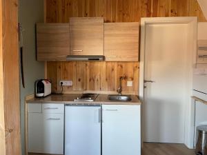 eine Küche mit einem weißen Kühlschrank und einer Spüle in der Unterkunft Dirndlhaus in Kirchberg an der Pielach