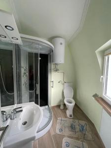 La salle de bains est pourvue d'un lavabo et de toilettes. dans l'établissement Dirndlhaus, à Kirchberg an der Pielach