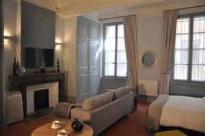 a living room with a couch and a fireplace at Suite Voltaire in Carcassonne