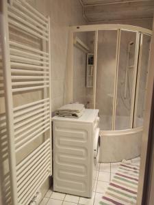 a white bathroom with a shower and a sink at Vintage Apartment in Graz +41 photos