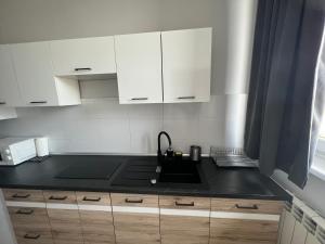 Kuchyň nebo kuchyňský kout v ubytování Business Center