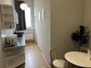 Kuchyň nebo kuchyňský kout v ubytování Business Center