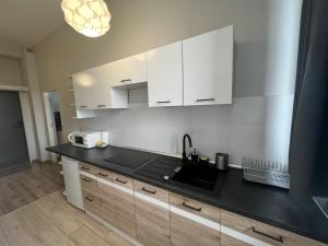 Kuchyň nebo kuchyňský kout v ubytování Business Center