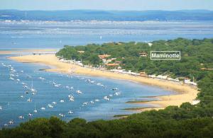 uma praia com um monte de barcos na água em Résidence Maminotte em La Teste-de-Buch