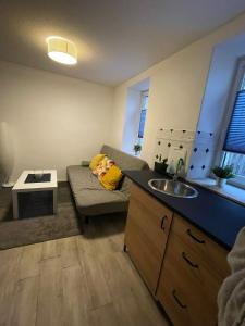 Virtuve vai virtuves zona naktsmītnē Ruhiges Apartment im Herzen von Gera