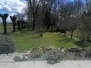 Zahrada ubytování Sonnenhus 2 - BreegeRügen