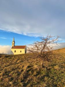 una vieja iglesia en la cima de una colina con un árbol en Haus Karner, en Neusiedl am See