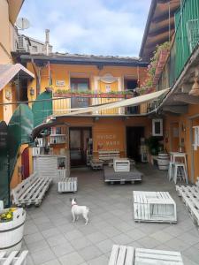 un chat blanc debout sur une terrasse en face d'un bâtiment dans l'établissement Maison Manu, à Perosa Argentina